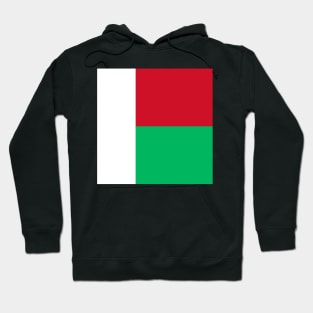 Madagascar flag Hoodie